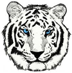 White Tiger Face 